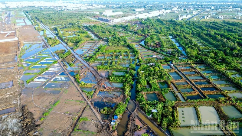 Cà Mau Land Fund Development Center marks 20 years as a catalyst for local growth