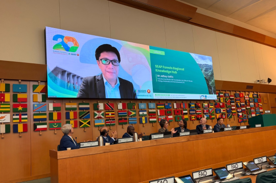 New Knowledge Hub Launched for Primary Forest Conservation in Southeast Asia and Pacific