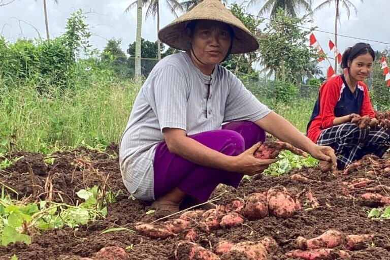 North Maluku Reveals Dozens of Food Crops, Highlighting Genetic Resource Potential