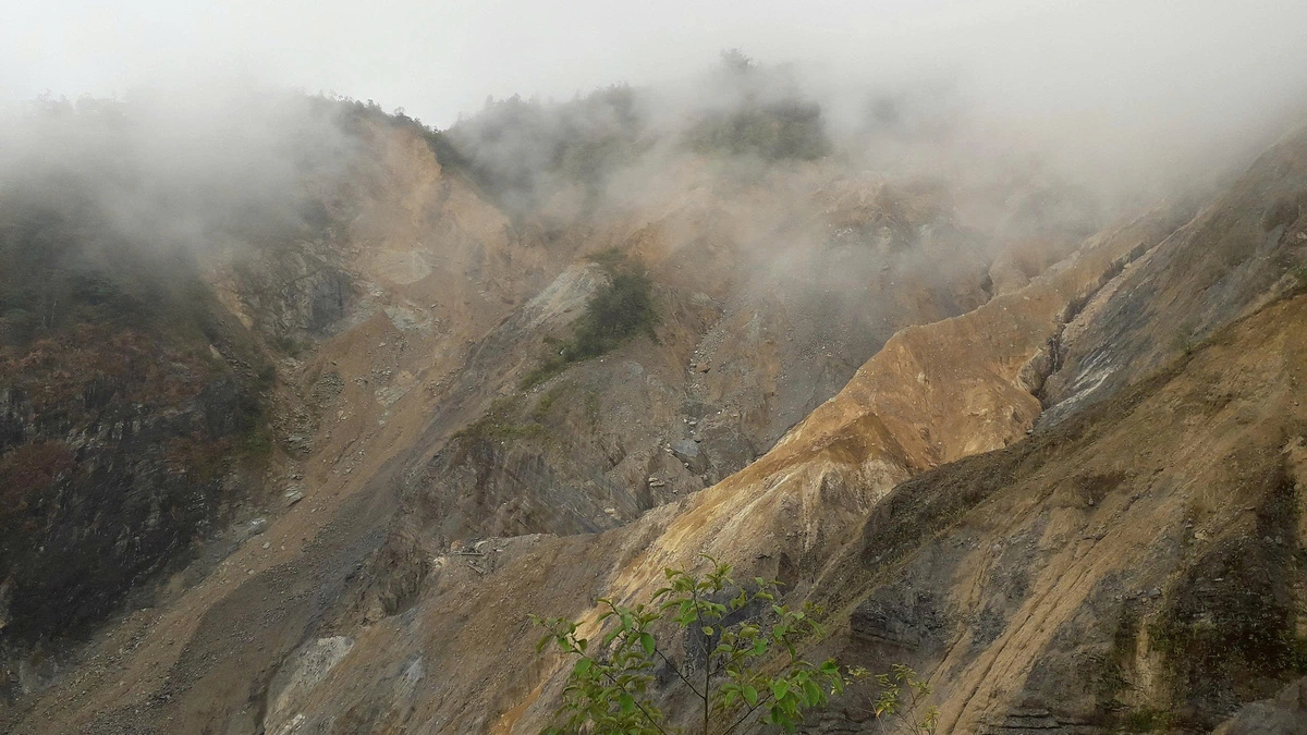 Vietnam's Rare 'Stone Dragon' Offers New Potential for Geological Research and Tourism