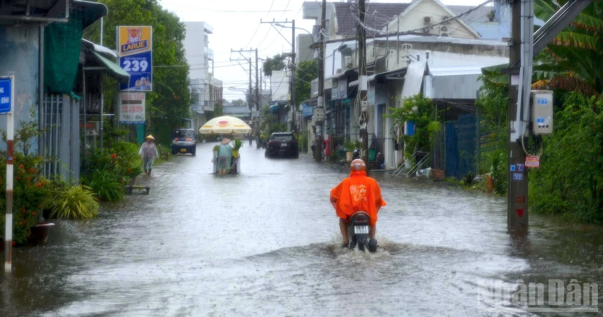 カマウ市中心部、豪雨で広範囲浸水 市民生活に影響