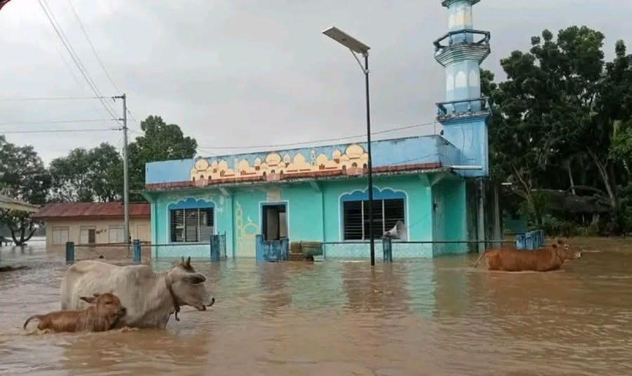 サマール州で豪雨、279人避難 浸水被害拡大