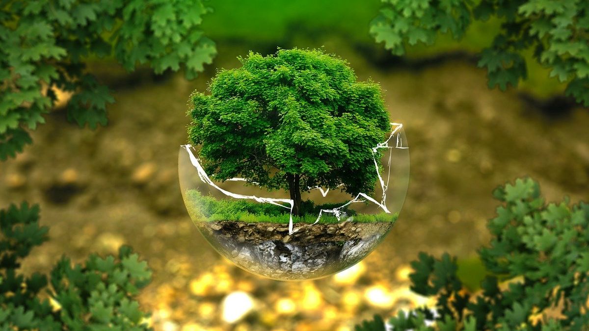 The Urgency of Environmental Communication: Translating Data into Public Action