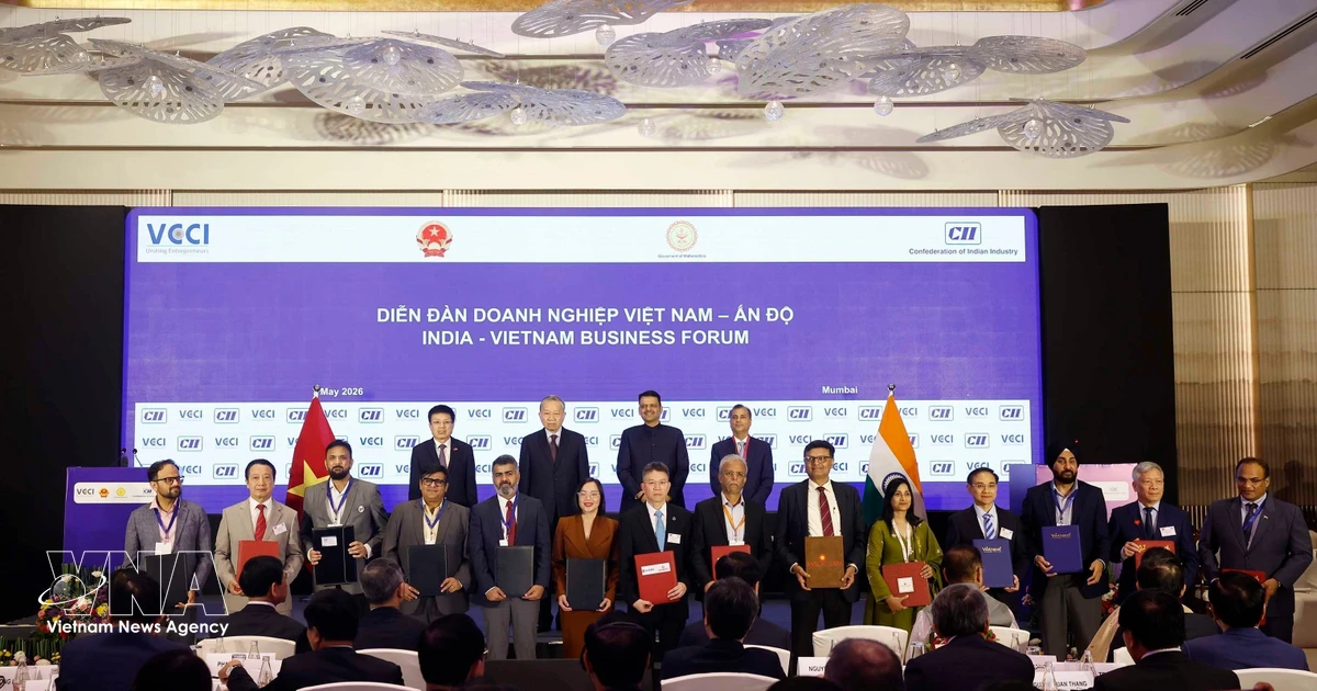 Vietnam-India ties deepen: From tourism to technological innovation