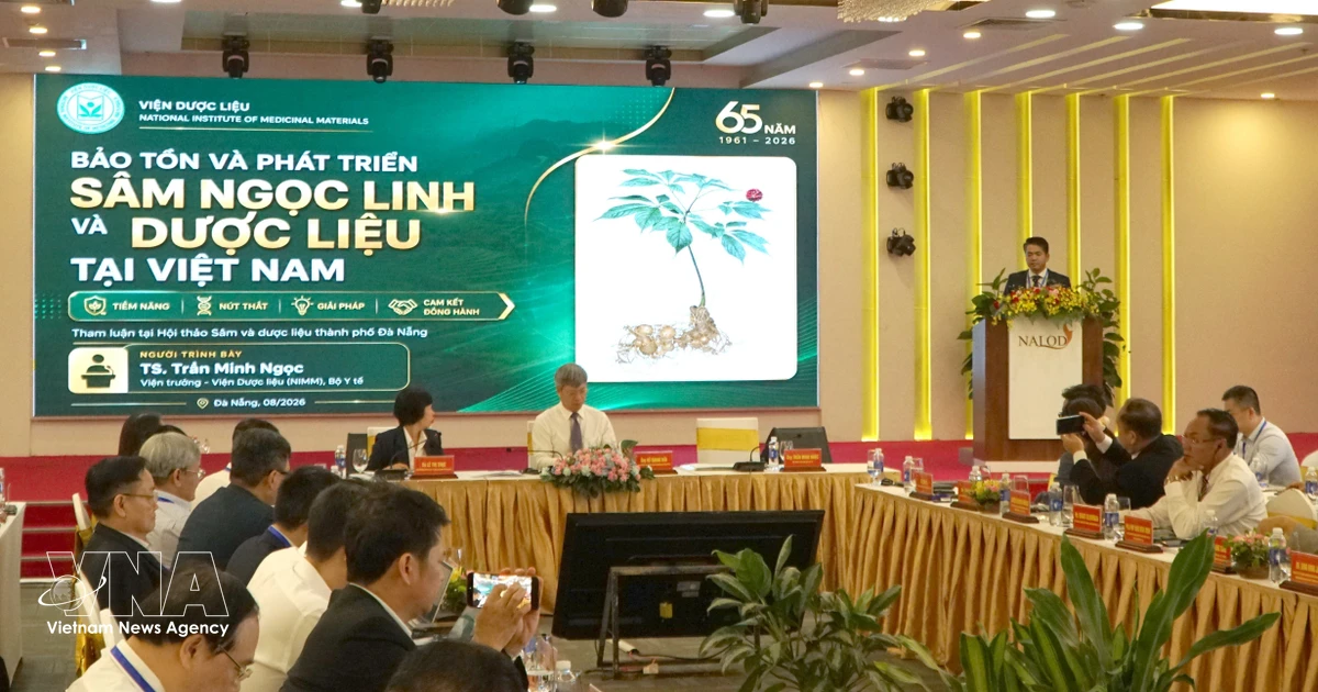 Ngoc Linh Ginseng Aims for Global Brand Recognition