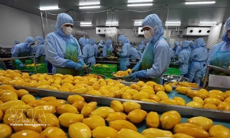 Vietnam's Tropical Fruits Hold Untapped Potential in Türkiye