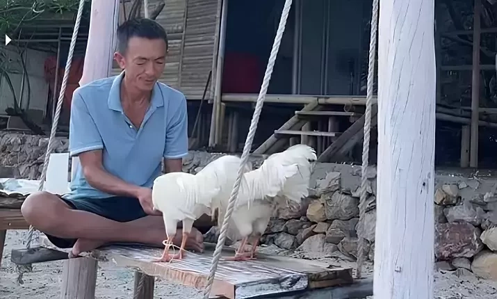 Vietnamese man finds happiness, faces challenges after 8 years alone on deserted island