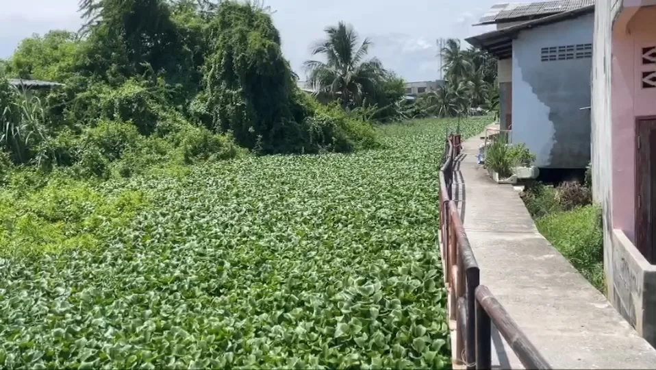Samrong Canal Clog Sparks Flood Recurrence Fears Among Residents