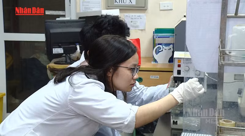 Vietnam Imposes Lifetime Research Ban for Scientific Misconduct