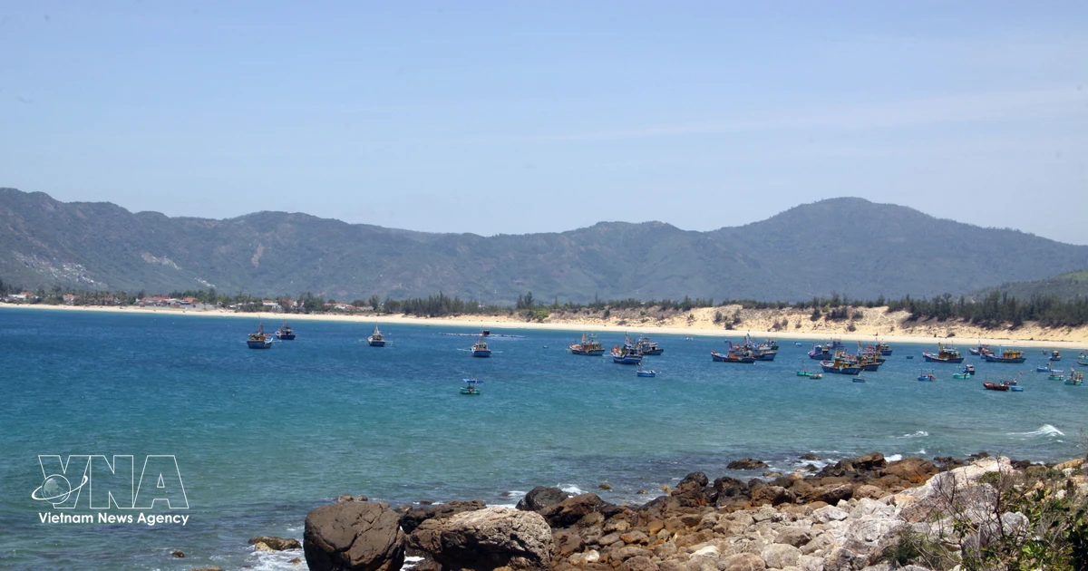 Vietnam Accelerates Tourism Growth with Diverse Strategies Focusing on Culture, Nature, and Digitalization