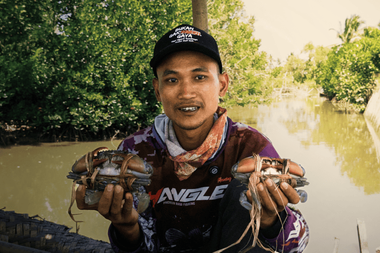 Mangrove Forests Crucial for Mud Crab Fishery in Banten