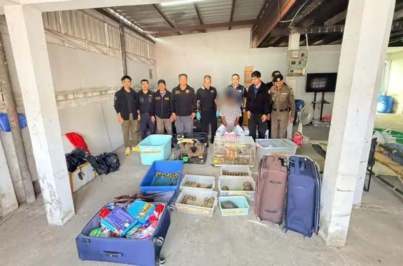 バンコクでインド国籍者4人、希少野生動物密輸容疑で逮捕