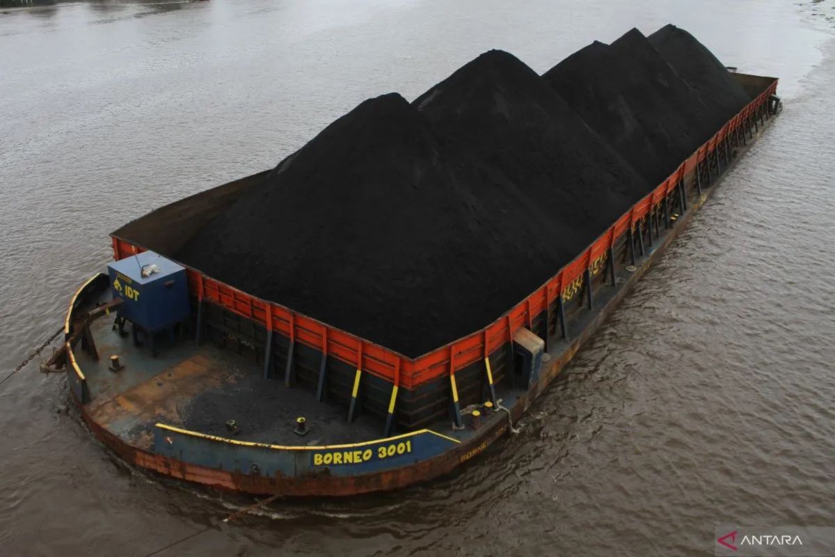 Indonesia Lawmaker Urges Downstreaming Focus in One-Stop Export Services