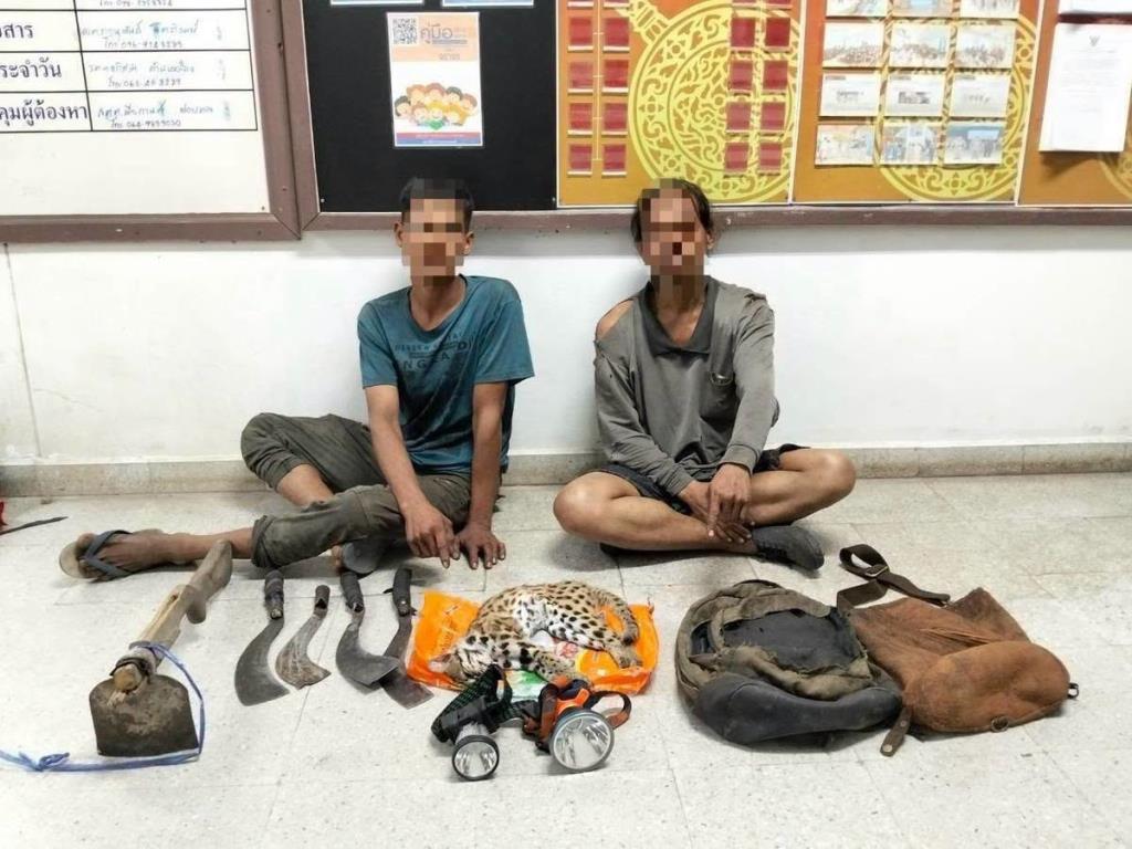 タイ・サラックプラ国立公園で密猟・伐採犯2人逮捕、絶滅危惧種や違法木材押収