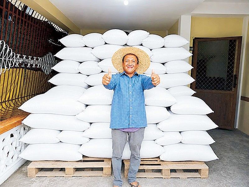 High-Zinc Rice Shows Promise in Yield and Nutrition in Philippines