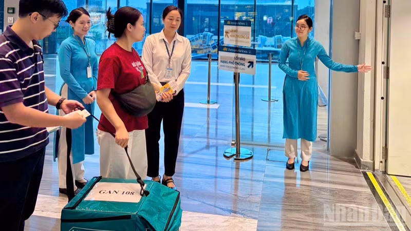 Vietnam Airlines Adjusts Flights Twice for Organ Transplant, Bridging Lives by Air