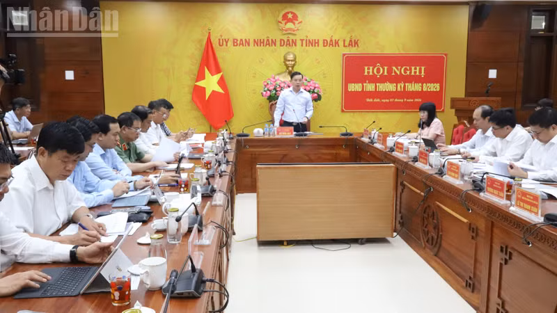 Dak Lak Province Sees 700% Surge in Business Dissolutions in August, Signaling Economic Headwinds