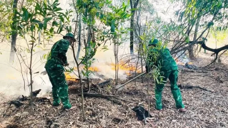 Forest Fires Erupt in Central Vietnam, Border Guards Mobilize for Suppression Efforts
