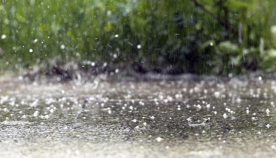 雨水バケツ発言巡り、大統領府が国民に「聞く耳」を要求