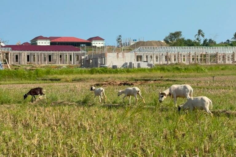 PTUN Serang Rejects Rancapinang Villagers' Land Rights Lawsuit