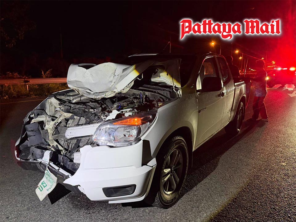 Sattahip Cow Fatally Struck by Pickup Truck Amid Road Escape, Lighting Concerns