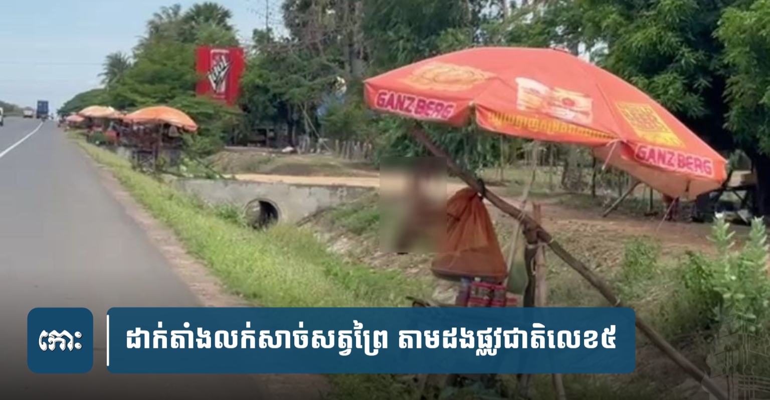 Illegal Wildlife Sales Persist on Cambodian National Road Despite Official Guidance