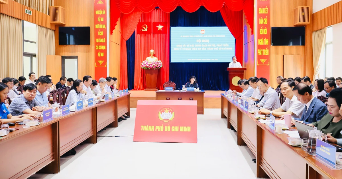 Ho Chi Minh City reviews implementation of private sector support policies