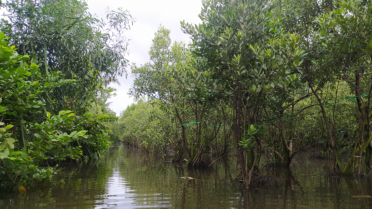 Location of Vietnam's Northernmost GPS Coordinate 'GPS 0001' Identified