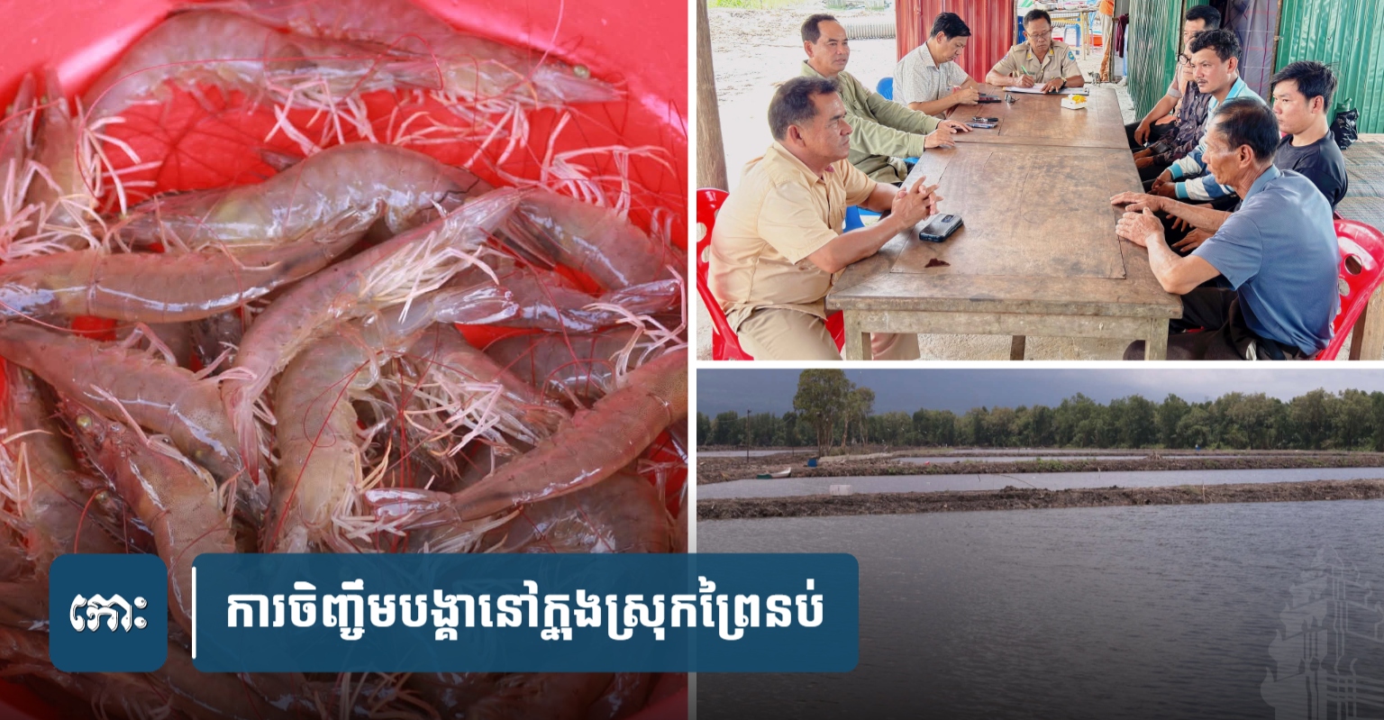 Preah Vihear Shrimp Farmers Convene for Knowledge Exchange and Skill Enhancement