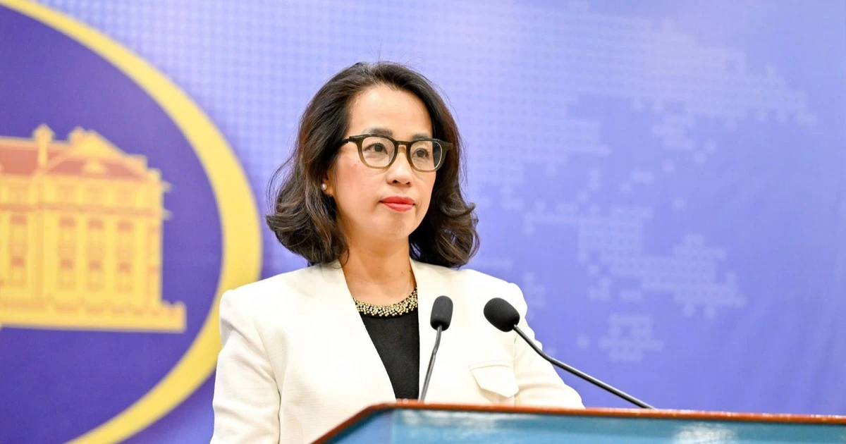 ベトナム外務省、ホアンサ諸島に対する主権の尊重を中国に改めて要求