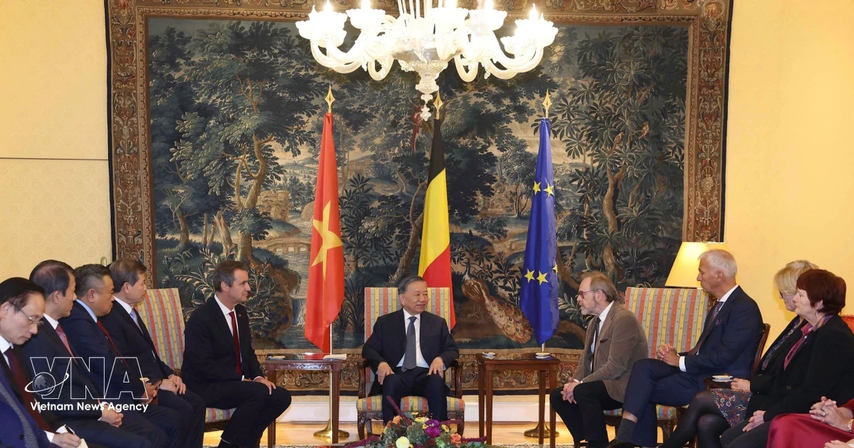 Vietnam, Belgium Eye Strategic Partnership to Deepen Bilateral Ties