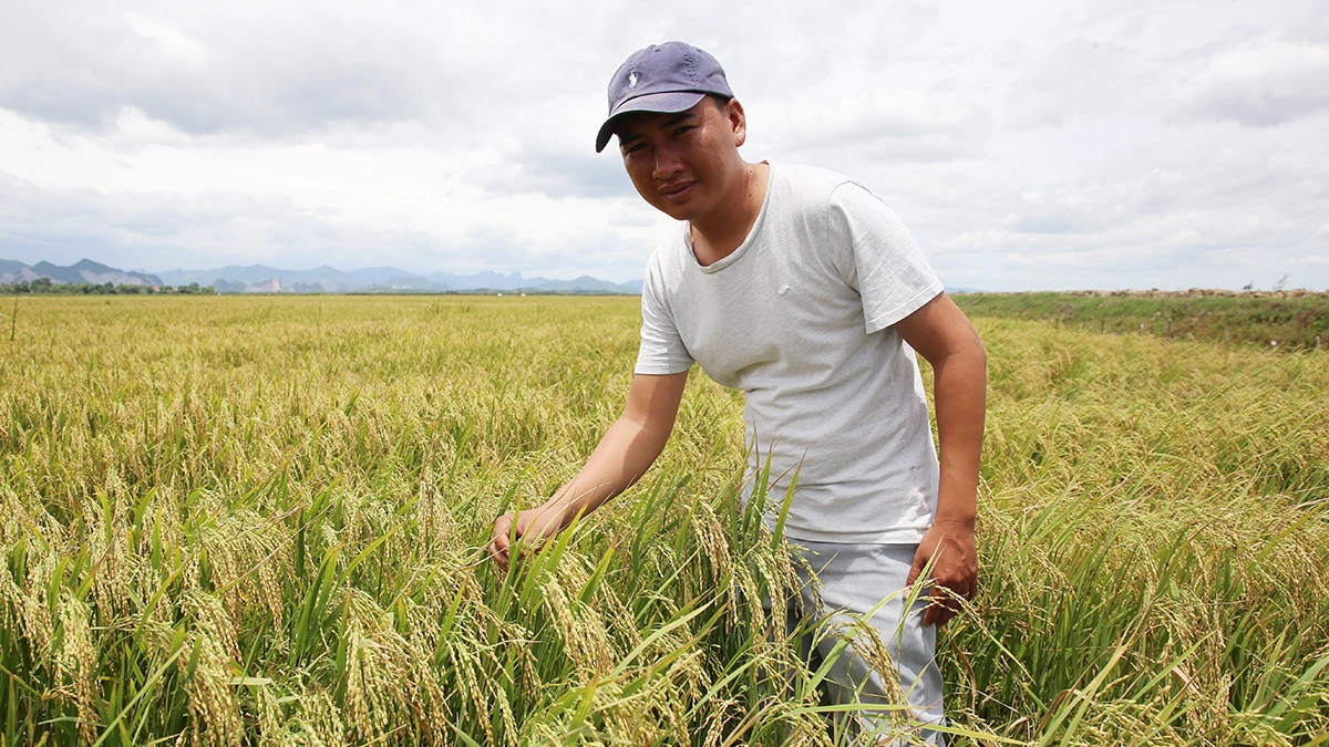 37-Year-Old Man Generates Over 1.6 Billion VND Annually by Consolidating Idle Farmland