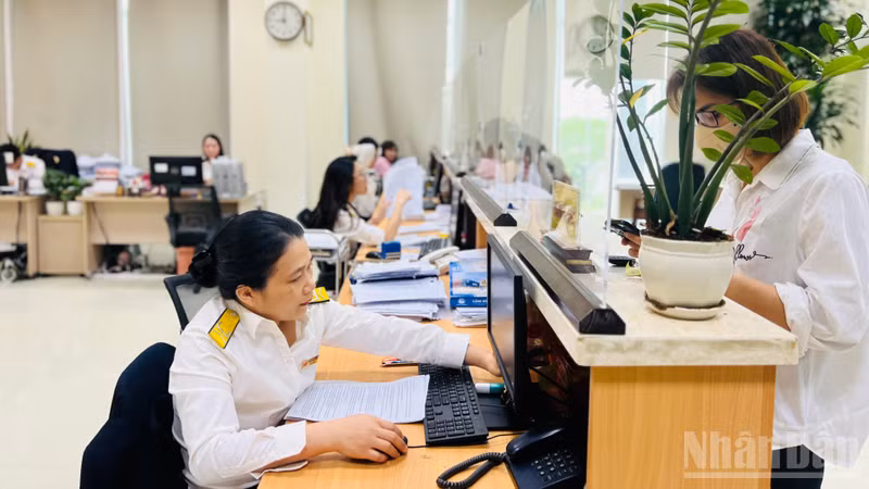 Vietnam Accelerates Taxpayer ID Cleanup to Facilitate Business Re-entry