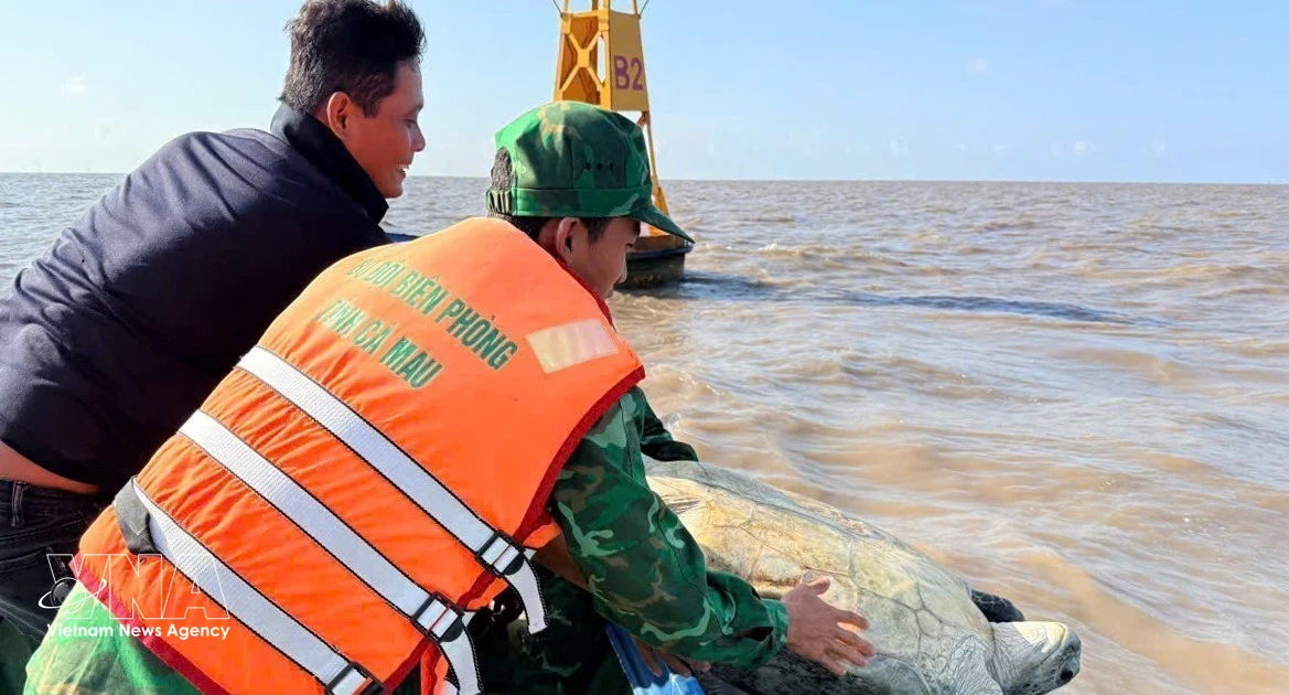 Vietnam Strengthens Efforts in Endangered Species Protection and Ecosystem Restoration