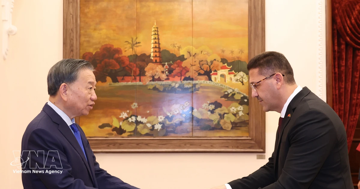 Vietnam Strengthens Ties with New Ambassadors, Focuses on Domestic Growth
