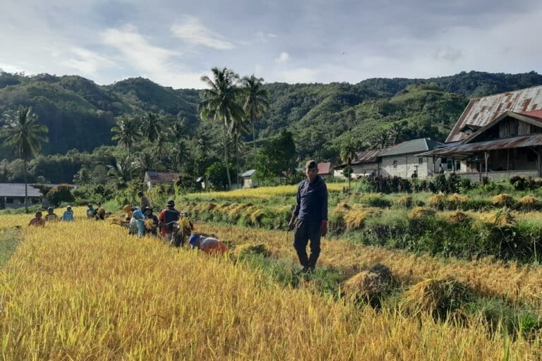 Banasu Community Fights for Indigenous Forest Recognition in Central Sulawesi