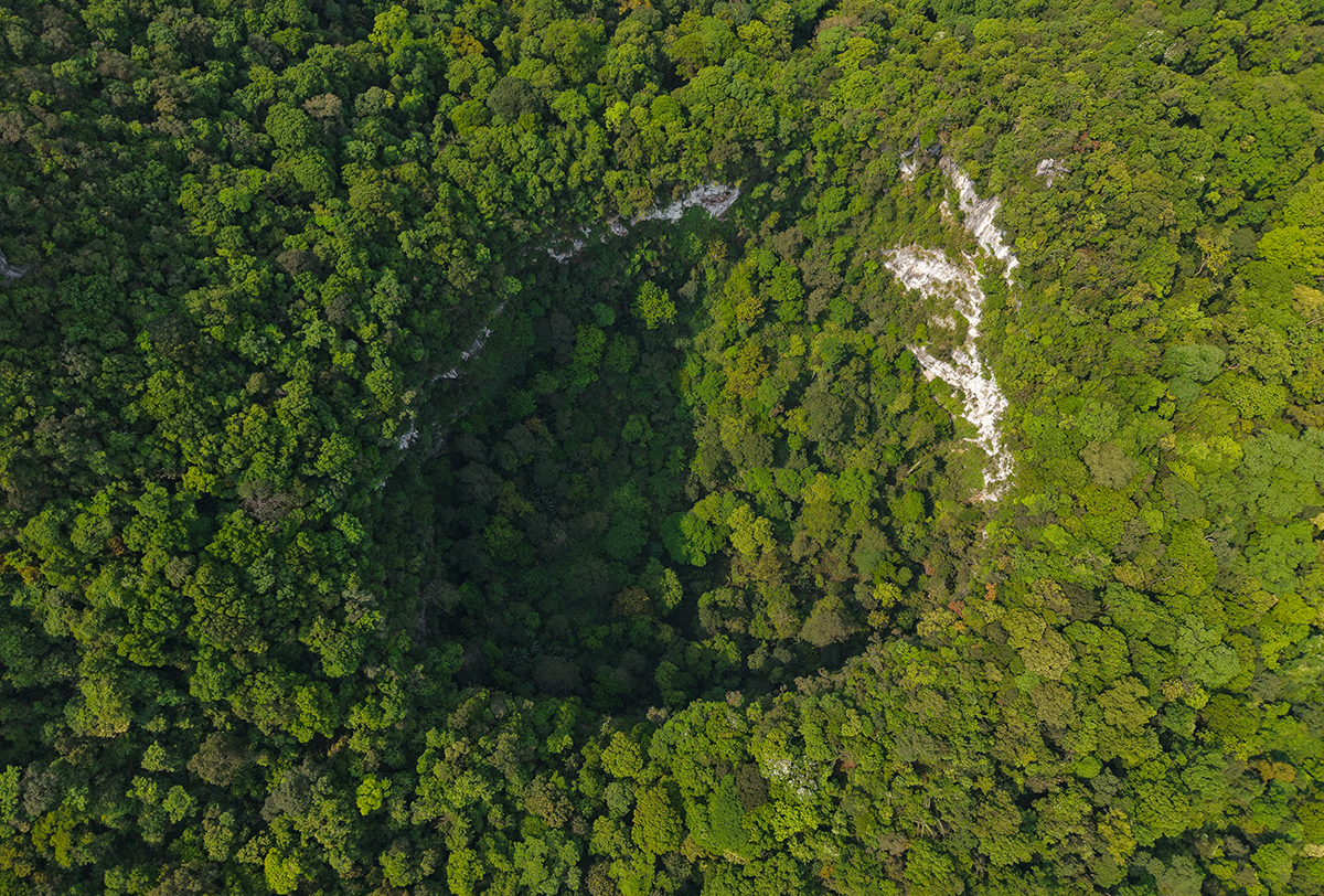 120-meter-deep sinkhole explored in Phong Nha-Ke Bang National Park