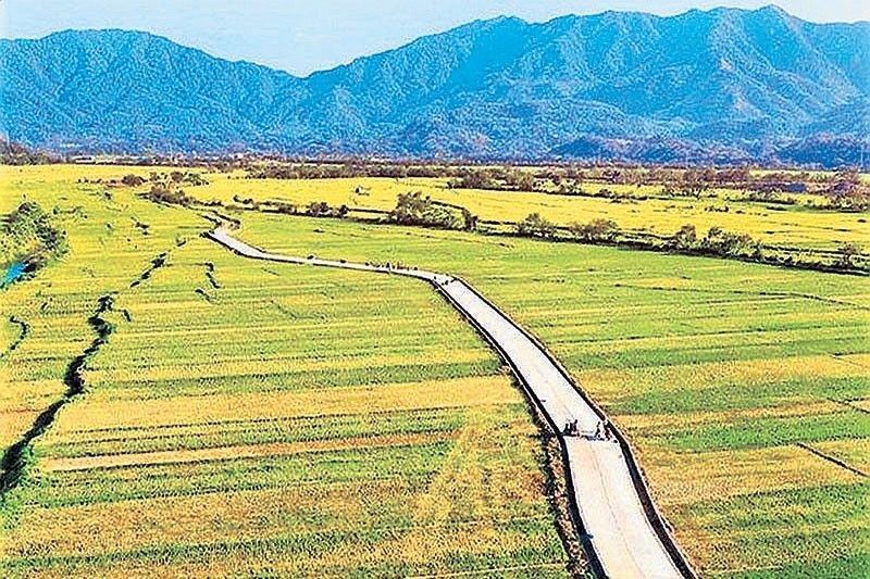 Philippines' DA Seeks P125 Billion Annually for Farm-to-Market Roads