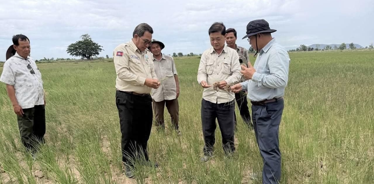 Battambang Farmers Receive Emergency Irrigation Aid Amidst Water Shortage