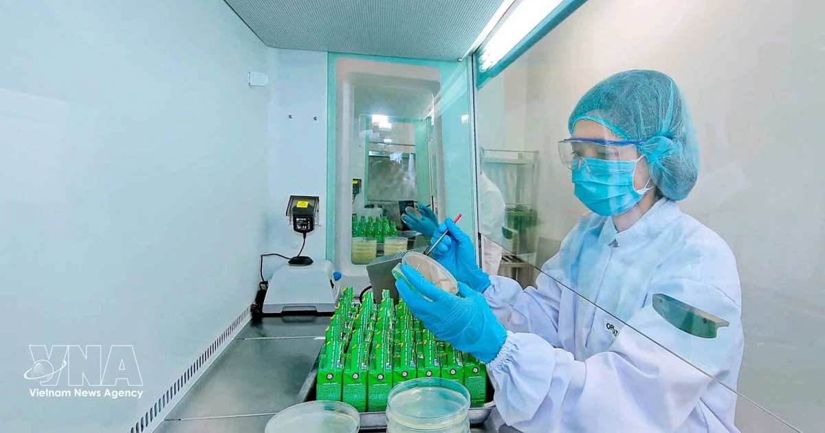 Vietnam Accelerates FDI into Green Economy, Attracting High-Value Projects
