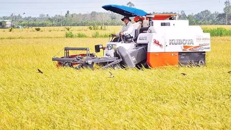 ベトナム、農産物持続的消費へ連携強化 小規模生産者と集約型原料生産地を結ぶ