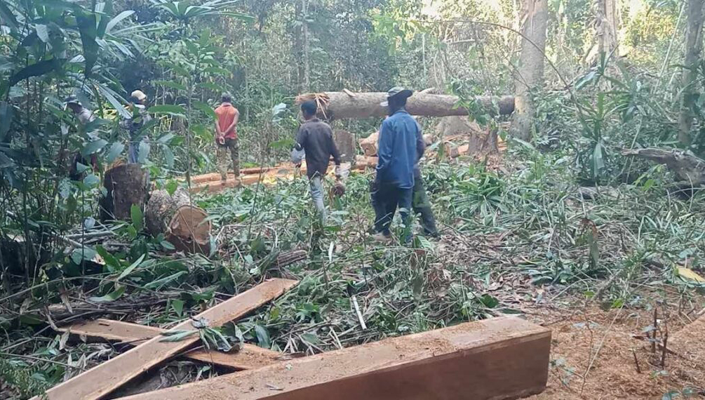 Hun Sen Orders Stronger Protection for Prey Lang Sanctuary Amidst Illegal Logging Concerns