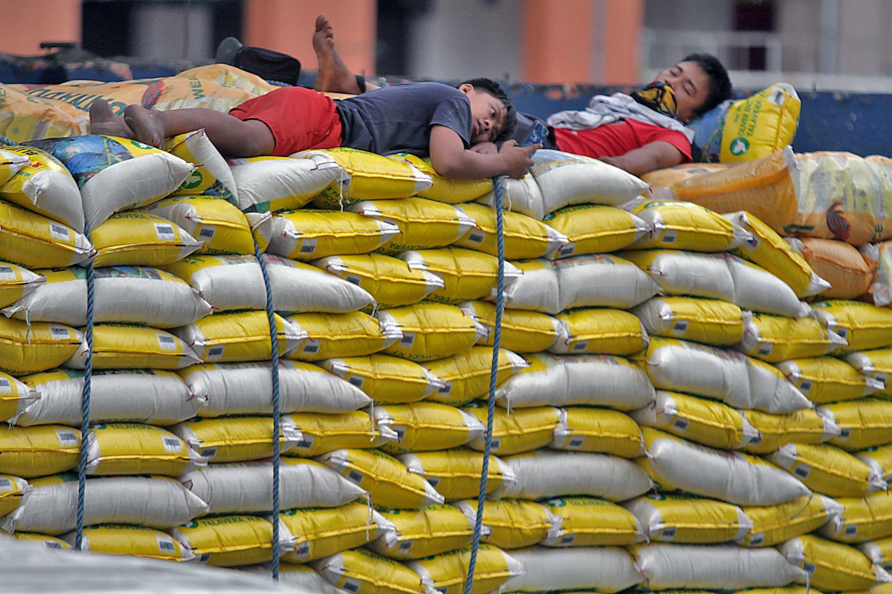 Marcos Jr. Weighs Extending P50 Imported Rice Price Cap