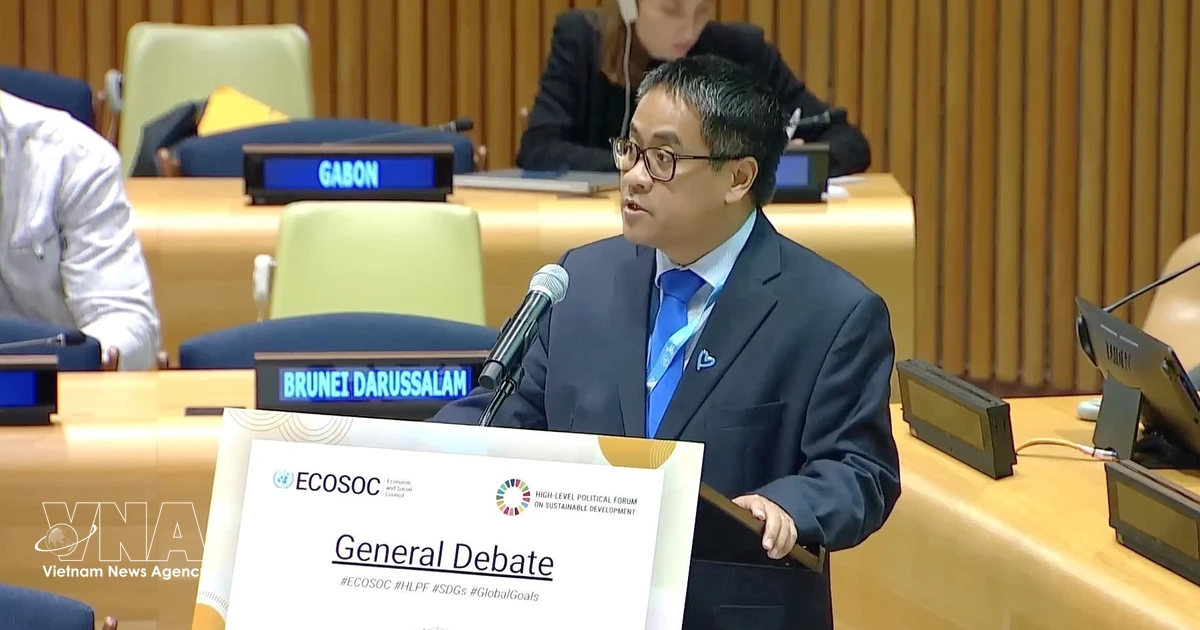 ベトナム、SDGs達成へ国際協力強化を呼びかけ
