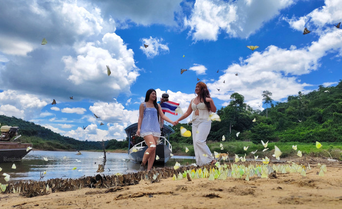 Butterfly season returns to Korat dam