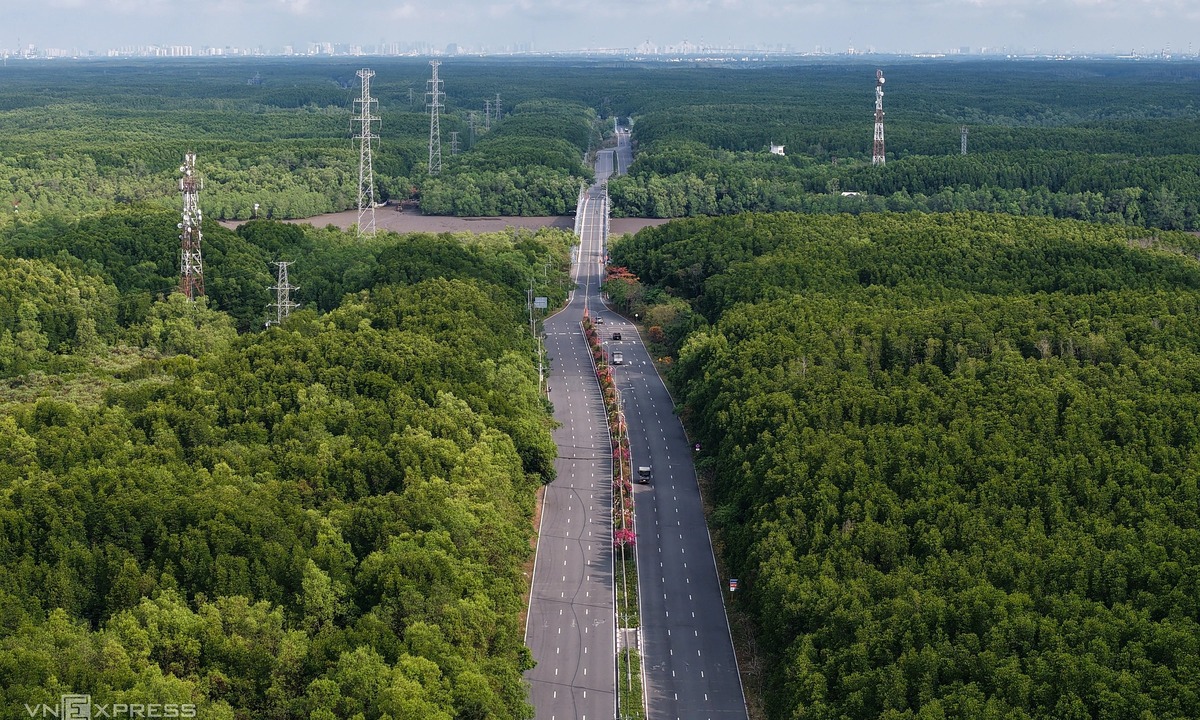 HCMC Seeks to Convert Protective Mangrove Forest for $3.9B Metro