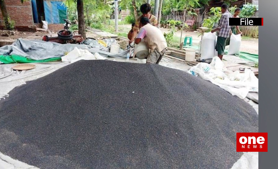 Black sesame and white sesame prices are falling