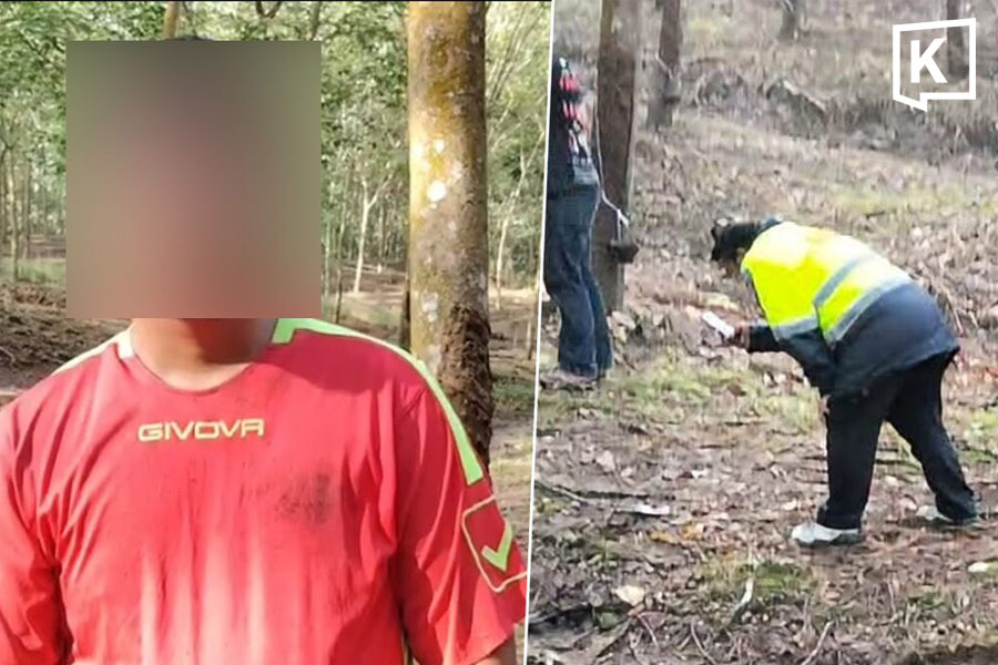 Wild Elephant Kills Woman in Chonburi Rubber Plantation; Husband Helpless Witness