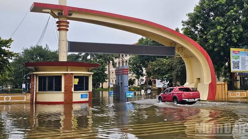 タインホア省、豪雨被害からの復旧と農産物収穫支援に注力