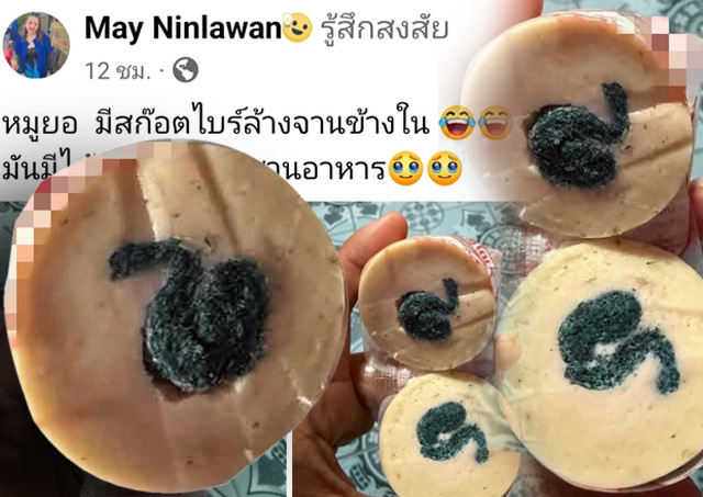 Shocking Discovery: Scouring Pad Found Inside Famous Chiang Mai Moo Yor